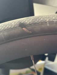 2a748e16-9031-4cd3-aff3-397fa79fc0a0