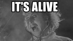 dcd31cfd-7d2d-4ca5-aec7-8034a4ed81da