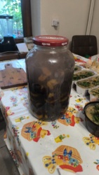 13f16789-012f-41ca-9d78-5cbb2be253bc