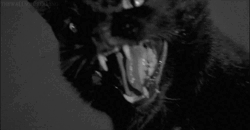 3ee3d2b8-00fe-4608-9a74-cfe28dcf123f