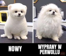 3b6b47cb-ee36-4316-990d-83913fa8ea02