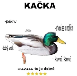 0befecca-d218-4b48-b9df-e1733cda936c