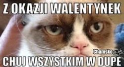 555c171c-553f-4641-96ec-8e3101e3e909