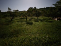 656de27b-e638-4dbd-aea5-edf6159d45c5