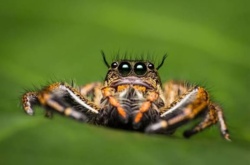 01ecce77-08b4-40f5-9fe2-b9b4950abdac