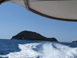 ca5e7140-7dae-492b-8878-46092701d7dc