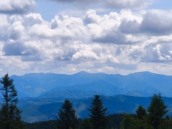 280e94c9-5768-4454-82f8-5d7888092abf