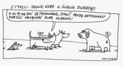 924507c2-4f8b-4221-a884-b244482b57d9