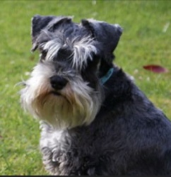 61b33638-f312-4eaf-bf46-af6c2cd8cca0