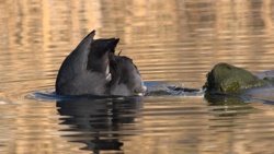 61bc7e4a-87df-476a-aaf0-584a2843e1d1