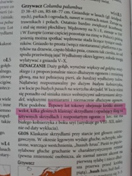 09c5a80a-e2af-479a-a8a6-aa1d70391949