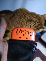 9a66c37a-b0ed-4b32-b4aa-dc307add9333