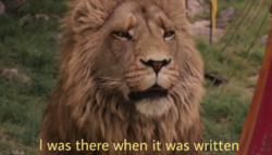 21cca290-be81-4f50-900d-91af2d03b18f