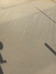 b4ba8a09-279a-46ea-b0a7-301f05739ef5