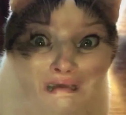 1f5b7af5-2e47-4aca-a844-13892e98a169