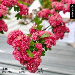 ed2dfde2-d917-425a-b436-d67e21c54565