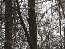 befba07f-8848-4712-8ea4-7eaf0f5cf9b1