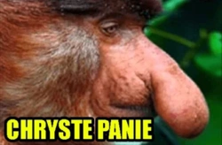 4ca83c07-abb2-4fbf-8306-e76741b4d80d