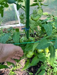 c6f0b72e-ffff-487e-800c-3e456ae2ef99