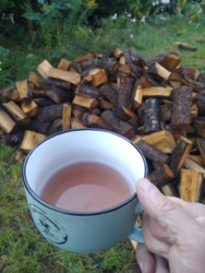 31025265-03e1-40a2-99e5-2e1c634a5526