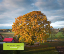 0a3532a0-0cad-4618-ac94-2e5fd1738012