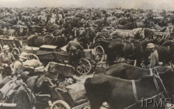 48491ce0-b79c-4871-a7aa-6c2c7735d750