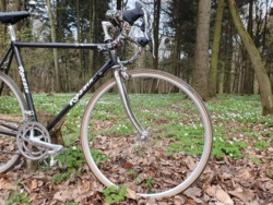 978e518c-5ee0-4436-b045-aaf234745ae4