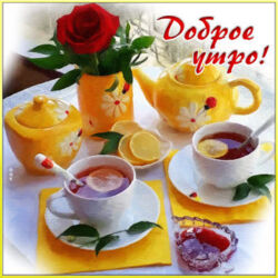 17250273-d079-450e-b623-0c039e7d1d72