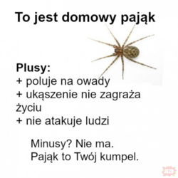 1c3b652b-fdc8-49aa-97de-2f2c15c408dc