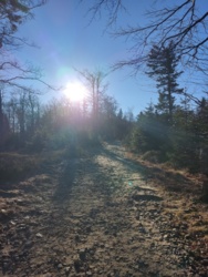 0a46e9fa-9f8a-40bb-b3a2-4369ddc677aa