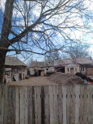 596b2d36-21b4-4c81-a532-c40a57e6ef98