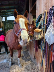 d3b7c096-74b9-4256-b6b7-1b2a838df130