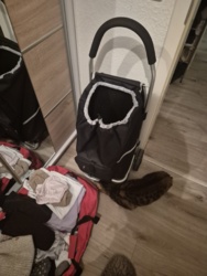 3177384d-5337-4555-8132-3e78a0342871