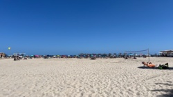 ec156894-e3b8-41e6-b149-1e13f9926c75