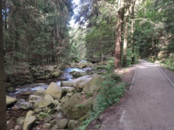 1ef80c9e-81ae-49de-99ba-14ef0ad1989d