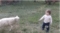 bdea7f81-9894-4047-9ba8-dbf08b38fe7c