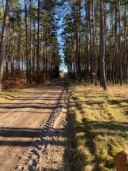 92a4ba5c-5cc1-4584-bc95-146b921c603c