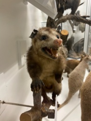 93968108-e409-4df5-a7d8-fd24b019168c