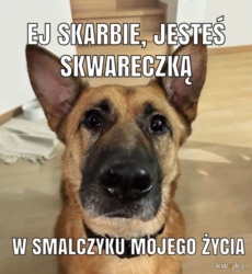 eebf9e08-a2a9-474c-865f-8fedd60b2467