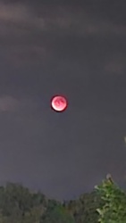 831af171-10c4-4fa0-9442-4340754d0670