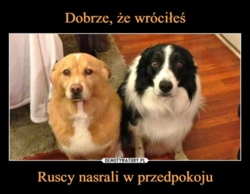 f0651377-7954-41ca-9634-4bff49945d68