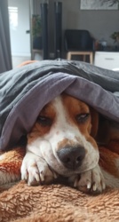 76263331-12c2-4a26-8c8b-067d5c094b36