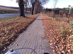 81e01ca9-949a-41e8-988b-55b1eb292c9b