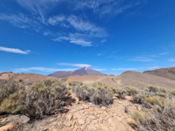 dac3118c-5278-4e48-9d94-6fe3993c72b0