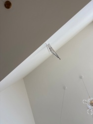 6d510d9e-46be-4772-98ce-430c3b55ad0c