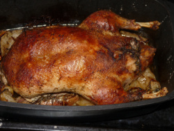 ac737897-97f0-4e66-b892-84f20c0ad0f2