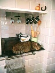 9ed4694d-b4bb-46ab-b33a-6e4bacd91b02