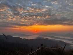 603e3447-703b-4a08-a2b8-084c3d46dd71