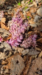 b6f88290-c039-4823-9c7d-8cf5ca8966ed