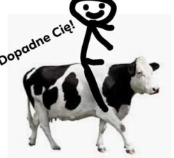 35e5745e-d341-4836-a9c9-73f83c8c5f7e